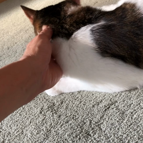 娘の心配… 。夜の女。の画像