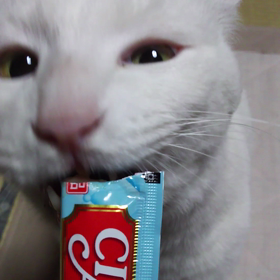 ただいまなのだけどの画像