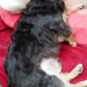 何しとんかな？の画像