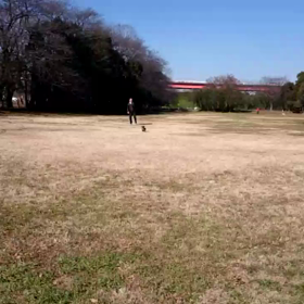 れもん、走りましたの画像