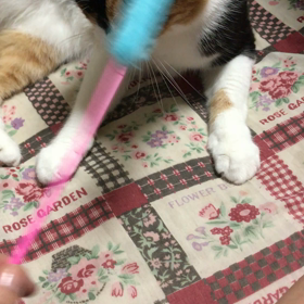 リナちゃんの場合の画像