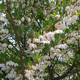 美容室エマーブルの画像