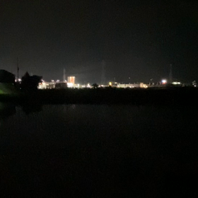 今年も元気に鳴いてますの画像