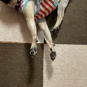 入院しましたの画像