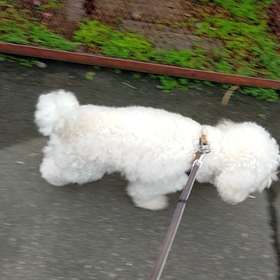 10/17の画像