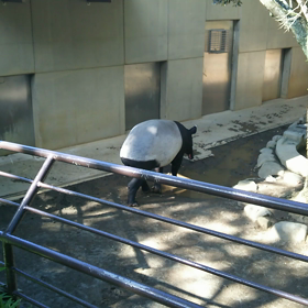 日本平動物園パート2の画像