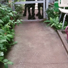 ただいま～♪の画像