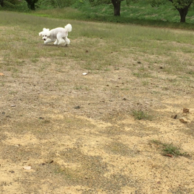 やられた…の画像