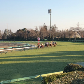 11レースの画像