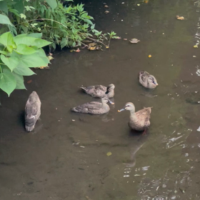 今日の尚整体♪の画像