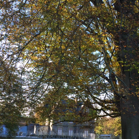 スイスフランスの湖畔の画像