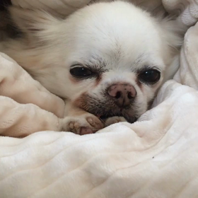 【動画】ウィンクなんかしてねーぞ！の画像