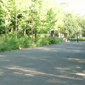 クラブ交流 男子リレー選考会動画⑩の画像