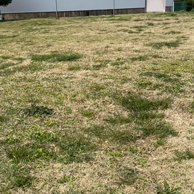 走れ〜。の画像