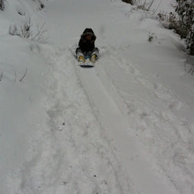 動画(^з^)-☆の画像