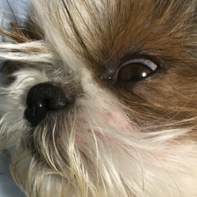 ユキチ(^^;)の画像