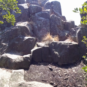 2023.3.19 香川県 千羽ヶ嶽（その10）山頂に立つ。の画像