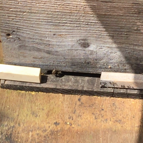 移動は成功...？の画像