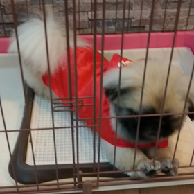 はじまりはいつも雨の画像