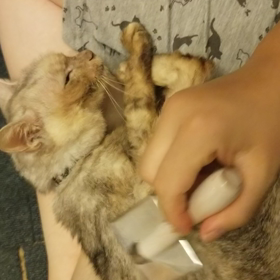 エイズ発症⑨の画像