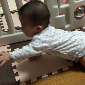 ♡ハイハイとつかまり立ち♡の画像