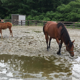 今日もグチャグチャの画像