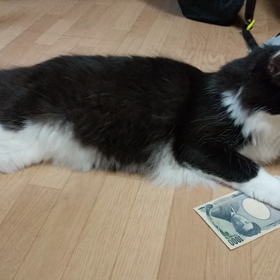 大切なものの画像