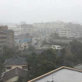 雪しまくの画像