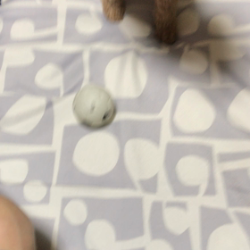 ボール投げての画像