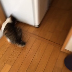 大変 わからなかった 38.8度の熱！ごめんなさい。の画像