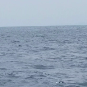 フラ～っと沖縄　-その2-の画像