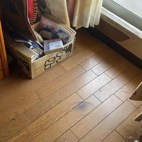 恋してナイの画像