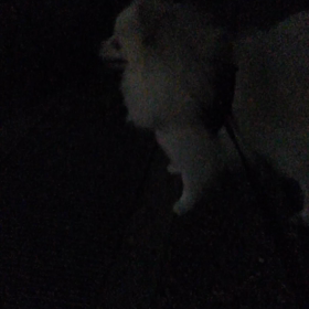 風が強いですねの画像