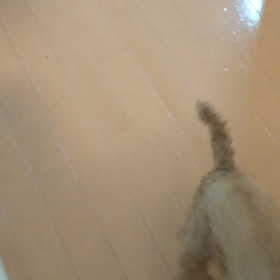 元気全開Jumpの画像