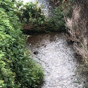 大衆浴場❓の画像