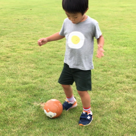 アオの決意の画像