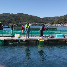 2018年3月17日傳八屋の画像