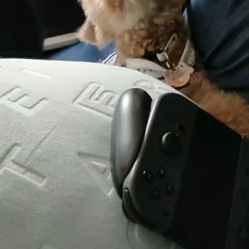 パレット　ネムネム♡の画像