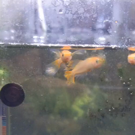 そんなにお腹減る？の画像