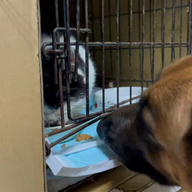 ラッキーなのに　2月26日（金曜日）の画像