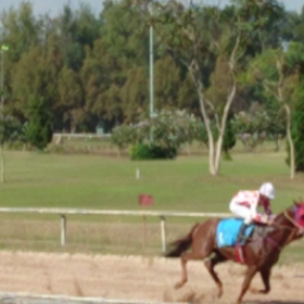 ”サワディカー～イン　チェンマイ２か月♪56の画像