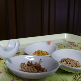 さくら８歳の画像