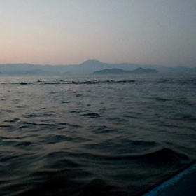 駄目だコリャーの画像