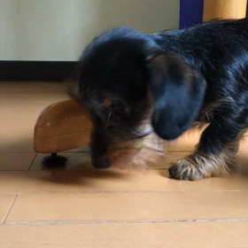 なかなか食べれないの画像