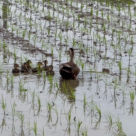 ひさびさのそうぐう！の画像