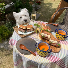 お庭でバゲットサンドパーティの画像