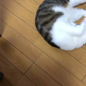 ランニングマシーン。の画像