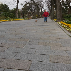 我が家のあれこれ ～今日も元気に～の画像