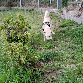 3/29朝の公園で･･･の画像