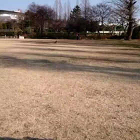 公園で、走ります byれもんの画像